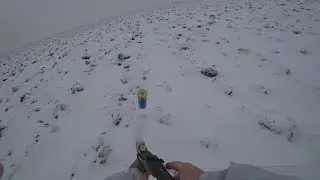 Hare hunting - Hare pro.