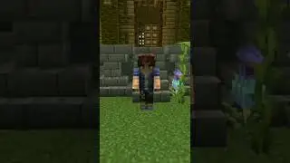 попал на олин релл #рекомендации #funny #майнкрафт #рек #gaming #minecraft #memes