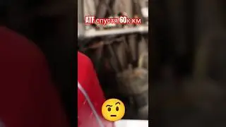 ATF спустя 60000 км 😲