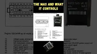 The MAS