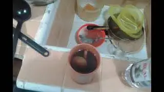 PÓCIMA CONTRA VARIANTE ÓMICRON