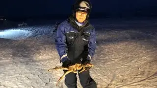 King Crab Safari, Kirkenes Norway