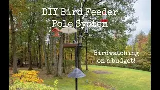 DIY Bird Feeder Pole System - Birdwatching on a Budget!