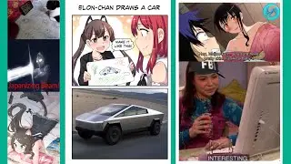 Anime Memes Only True Fans Will Understand #114 /November 2019/