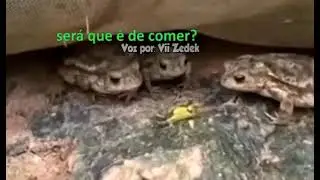 Sapinhos representando o que eu sinto por wasabi