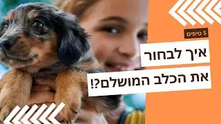 איך לבחור כלב - כל מה שחייבים לדעת לפני האימוץ