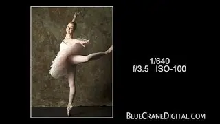 Understanding the Canon 600EX-RT Speedlite