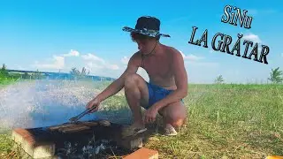 GRĂTAR CU BRIGADA 2021