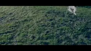 Baru - Repair (Official Video)