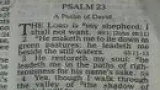 Book of The Psalms chapter 23 HOLY BIBLE