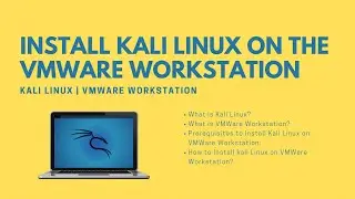 How to install kali linux in vmware 2022 || Fix network error problem step by step