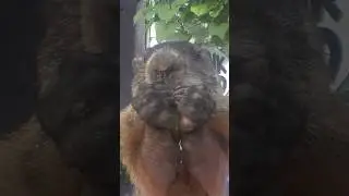 Chunk Sending Heart Hands