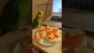 В большой семье клювом не щелкай!)))