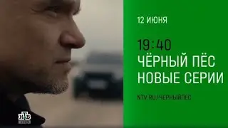 Анонс, Чёрный Пёс, 6 сезон, новый сезон, Премьера с 12 Июня в 