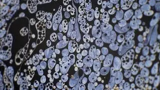 Pebbled Soap Bubbles - Iridescent Surface III