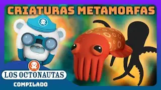 Los Octonautas - 🐡 Criaturas metamorfas 🐙 | Episodios Completos | Compilado