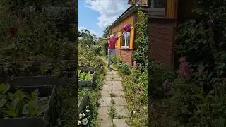 Самые счастливые дни. #short #shortsvideo #shortsvideo #shortsfeed #приколы #лето #смех #юмор #шутка