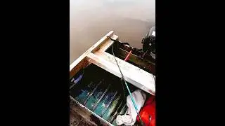 ЗМЕЯ НА РЫБАЛКЕ. ЗАПОЛЗЛА В ЛОДКУ! 😱
