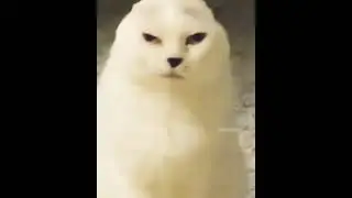 Удивительное существо