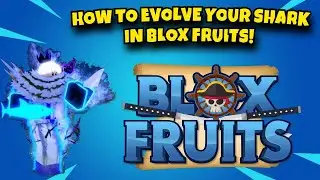 HOW To EVOLVE Your SHARK IN BLOX FRUITS!