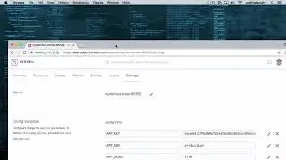 Laravel | Laravel  variable configurations