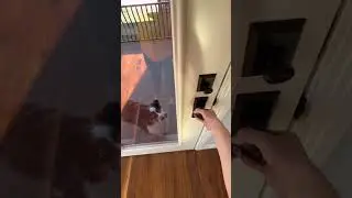 can someone PLEASE explain