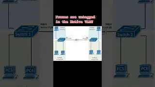 Frames are untagged in the native vlan 