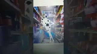 The Spot literally became HIM