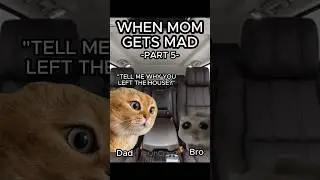 CAT MEMES 🐱 WHEN MOM GETS MAD PT.5 #relatable #family #cat #catlover #shorts
