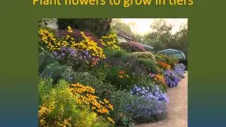 Creating a Bee-Friendly Garden