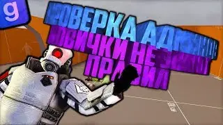 ПРОВЕРКА АДМИНОВ | НОВИЧКИ НЕ ЗНАЮТ ПРАВИЛ | DarkRP | Garry`s Mod |  gameplay rdm