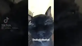 мем смешно да лала