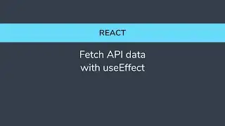 React - Fetch API data with useEffect