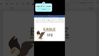 🦅Symbol shortcut key in ms word 