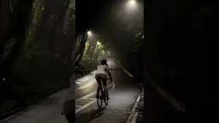 🍀世界是否清清白白，我們邊走邊看；但我們要象每個早晨一樣，清清白白地騎進這個世界！
