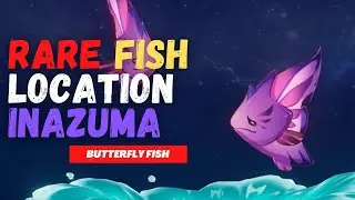 Rare Fish Location | Raimei  Angelfish | Genshin Impact
