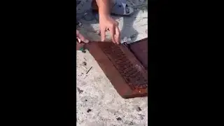اللاب دا لقيته فى الشارع #shorts