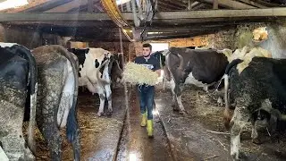 YAZ SICAĞINDA HAYVANCILIK / GÜNLÜK İŞLER 73