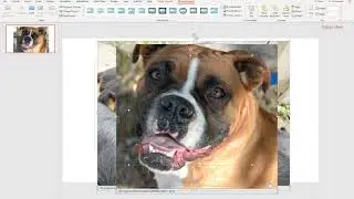 Week 4: Designer in Power Point