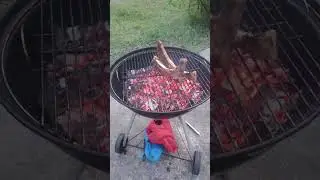 Food Trip 102