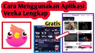 How to Use the Veeka Application | How to Use the Veeka Application