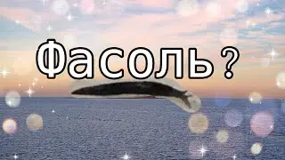 Vlog/ Это фасоль? / 23.09.24🙃