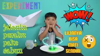 kids science experiments at home | CARDBOARD MOVES WITHOUT BEING TOUCHED