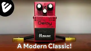 Boss DM-2w Waza Craft Analog Delay Review + Demo