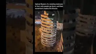optical illusion