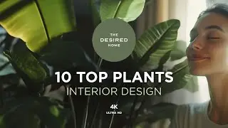 10 Top Plants | Interior Design | 4K