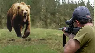 صيد الدب الرمادي العنيد بالبنادق 😱🔥👍👌 الجزء 2
