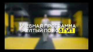 8 ГУП - ЖЕЛТЫЙ ПОЯС