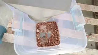 #infraredcamera #infrared #colorsorter #hazelnut Harman Kırığı Ayrıştırıcı Infrared Color Sorter