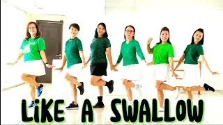 Like a swallow (제비처럼)|장윤정|초급 시니어건강댄스